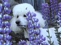 DSC00038.JPG