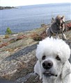 GPromenadMalteAlbinNorvik3.jpg