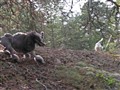 GPromenadMalteAlbinNorvik5.jpg