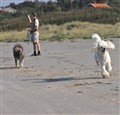 GSemspringstranden.jpg