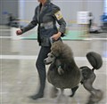SS2011dallastränar.jpg