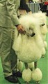 SS2011tvåvita.jpg