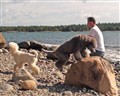 dagbokringvägenpromenad5.jpg