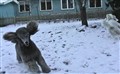gbusspringisnön.jpg