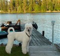 jämtland10.jpg