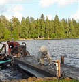 jämtland11.jpg