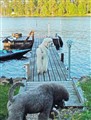 jämtland12.jpg