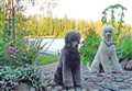 jämtland7.jpg