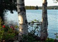 jämtland8.jpg