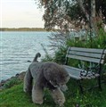 jämtland9.jpg